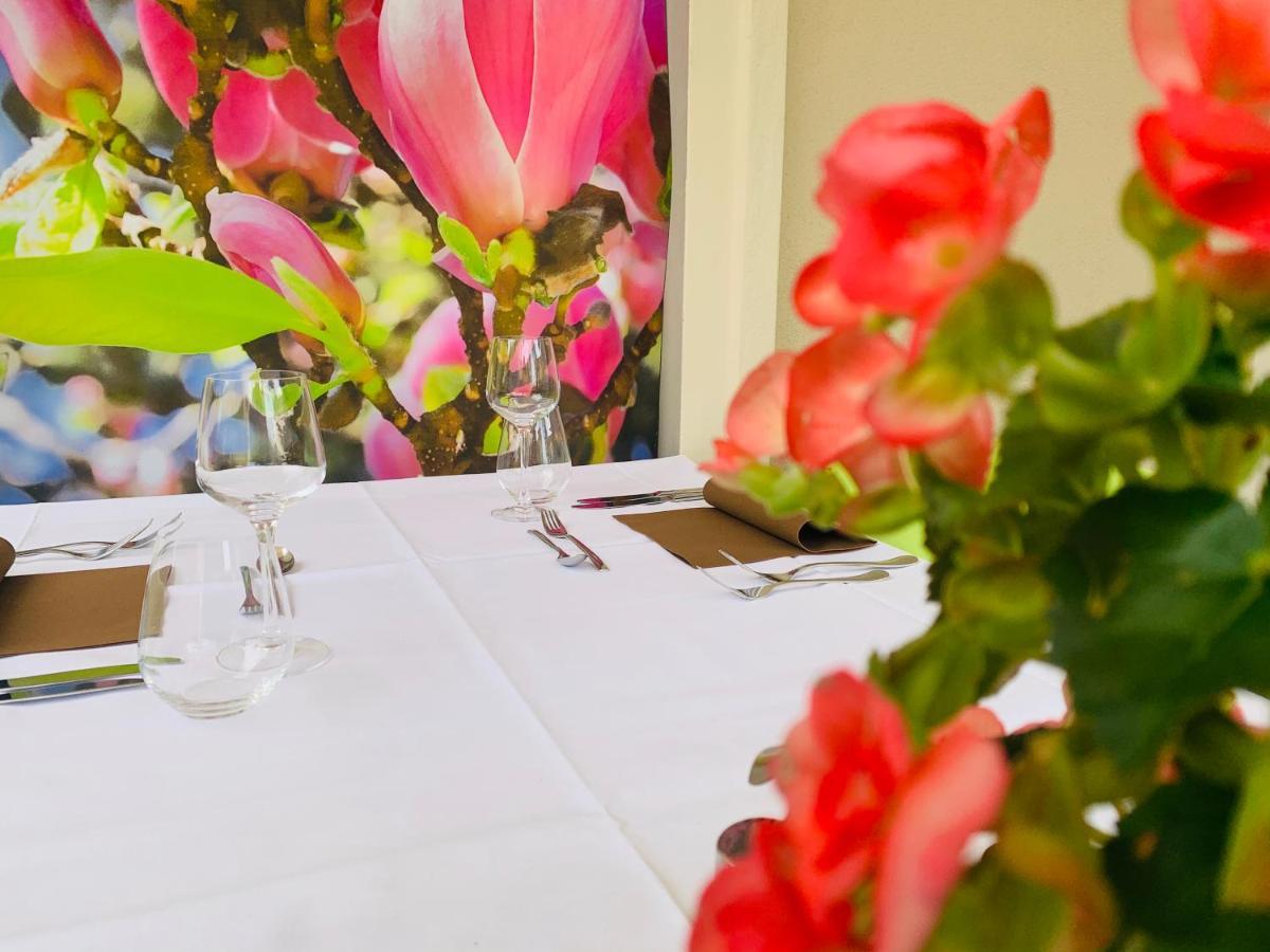 Zu Den Linden - Radebeul Pension Mit Restaurant Eksteriør billede